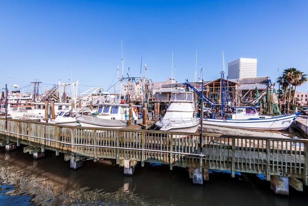 Harbor House Hotel And Marina Galveston Einrichtungen foto